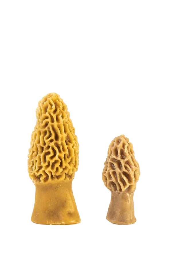 Morel Mushroom Beeswax Candle