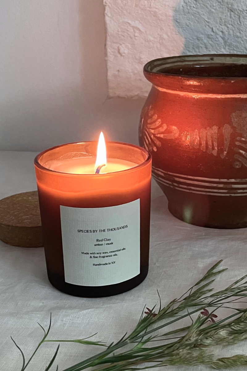 Red Clay, Amber + Musk Handcrafted Soy Candle