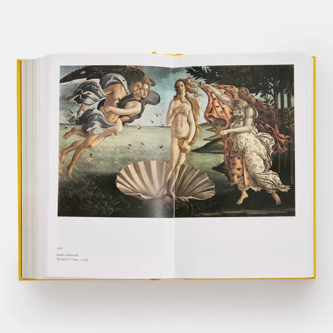The Story Of Art