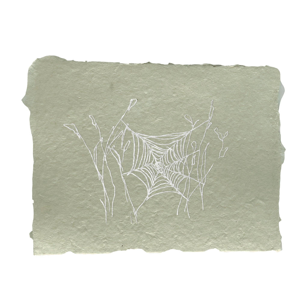 Spider web in the grass note card