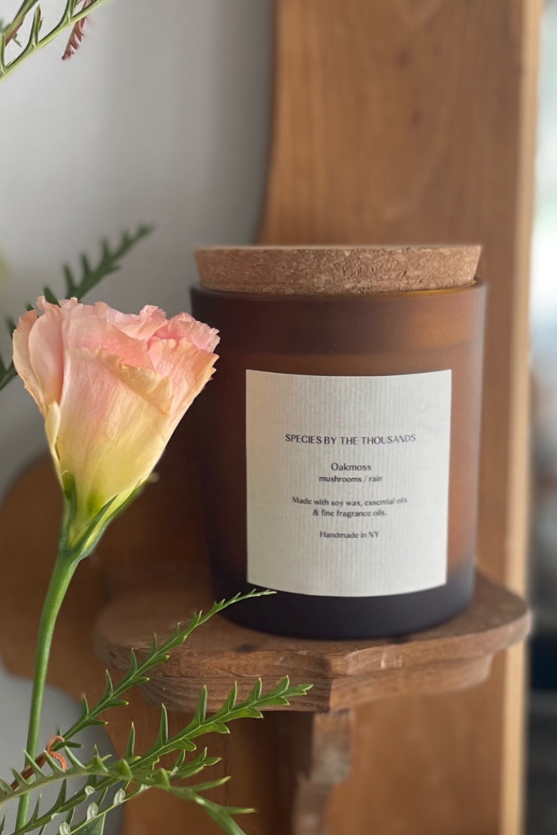 Oakmoss, Mushrooms + Rain Handcrafted Scented Soy Candle