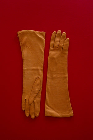 Silk Gloves