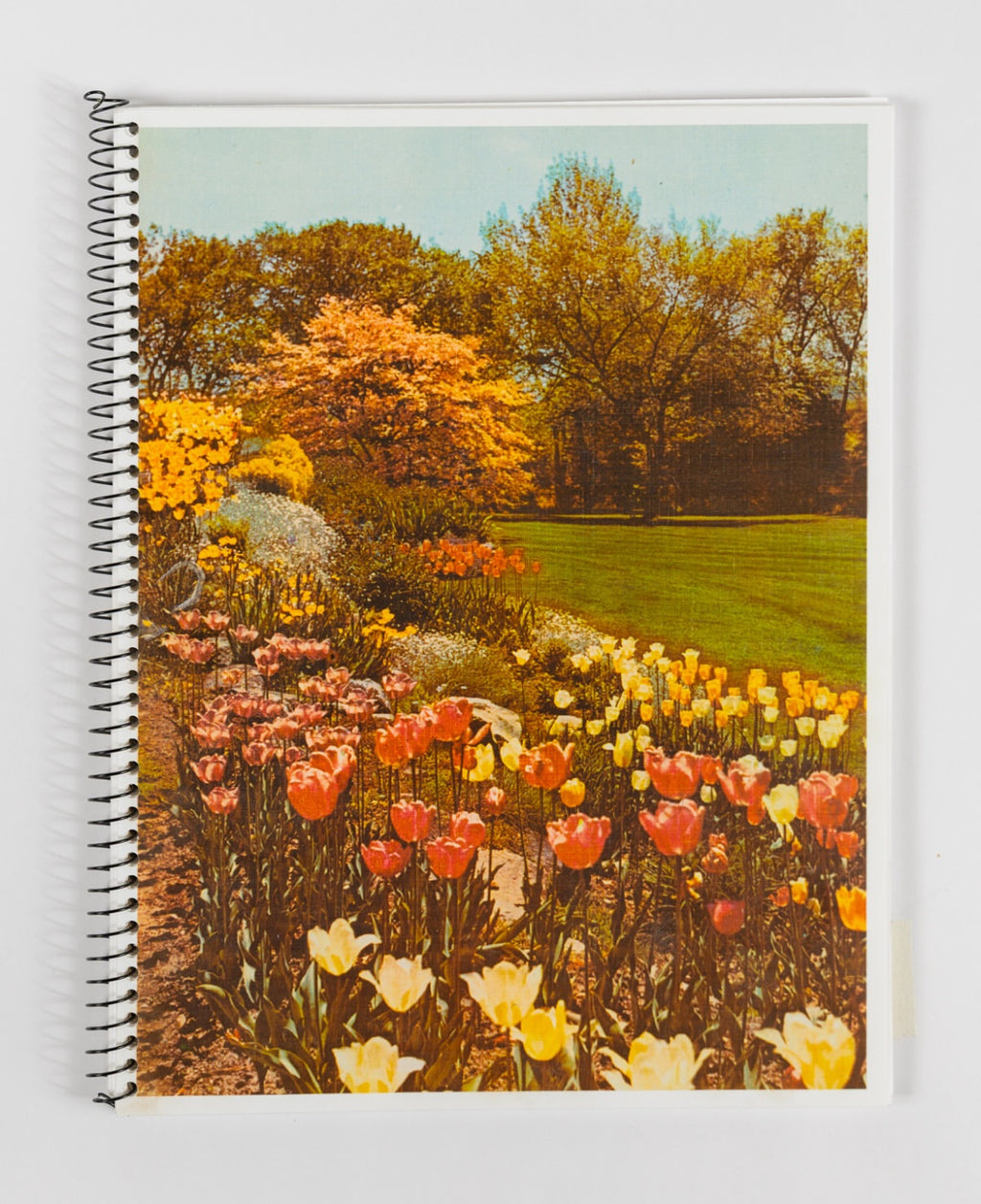 Zine - An Index of Botanical Desires
