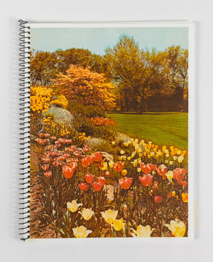 Zine - An Index of Botanical Desires