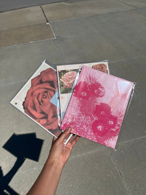 Rose Print