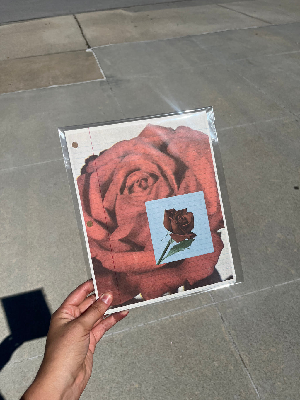 Rose Print