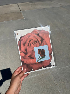 Rose Print