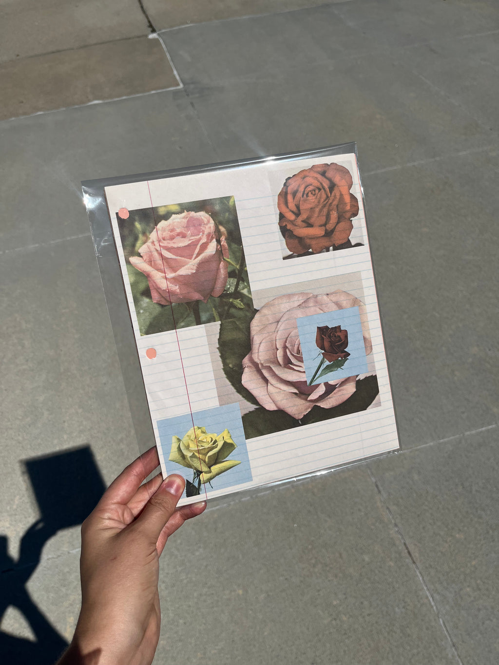 Rose Print