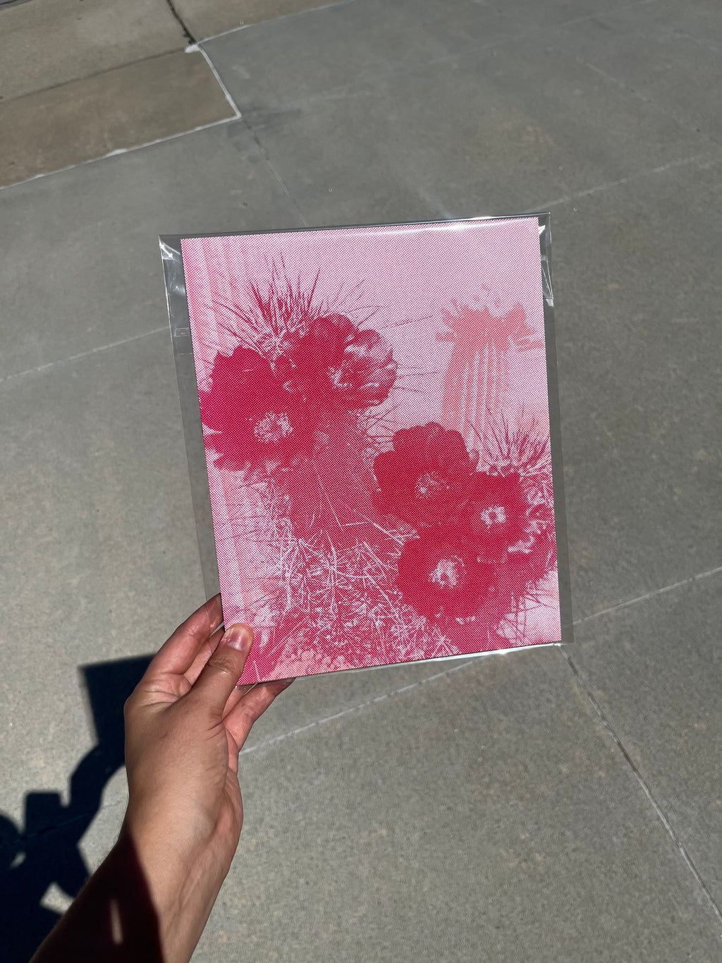 Cactus Print (Pink)
