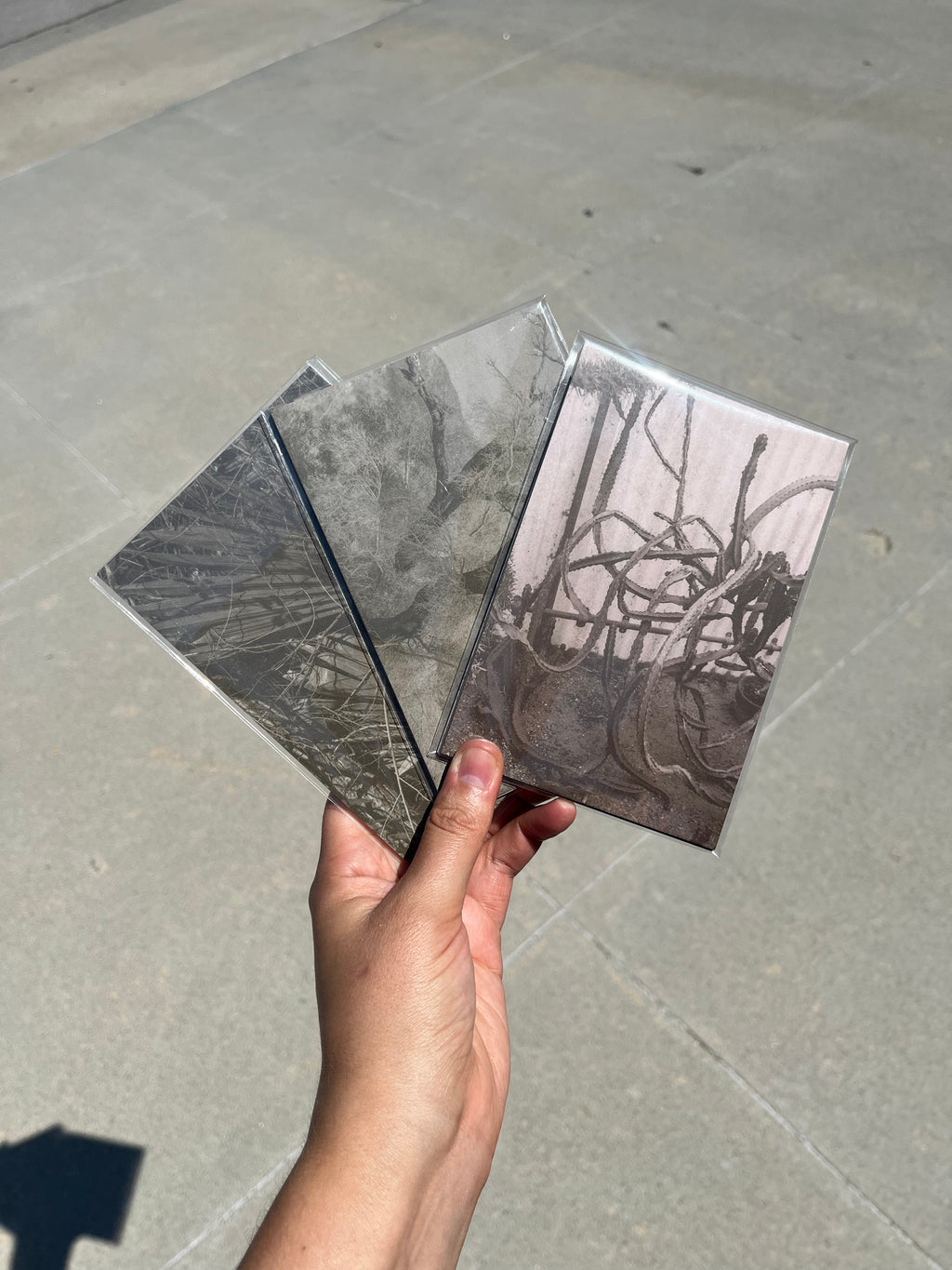Postcard Set (5)