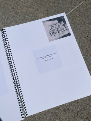 Zine - An Index of Botanical Desires