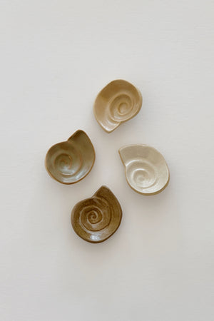 Shell Dish