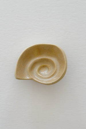 Shell Dish