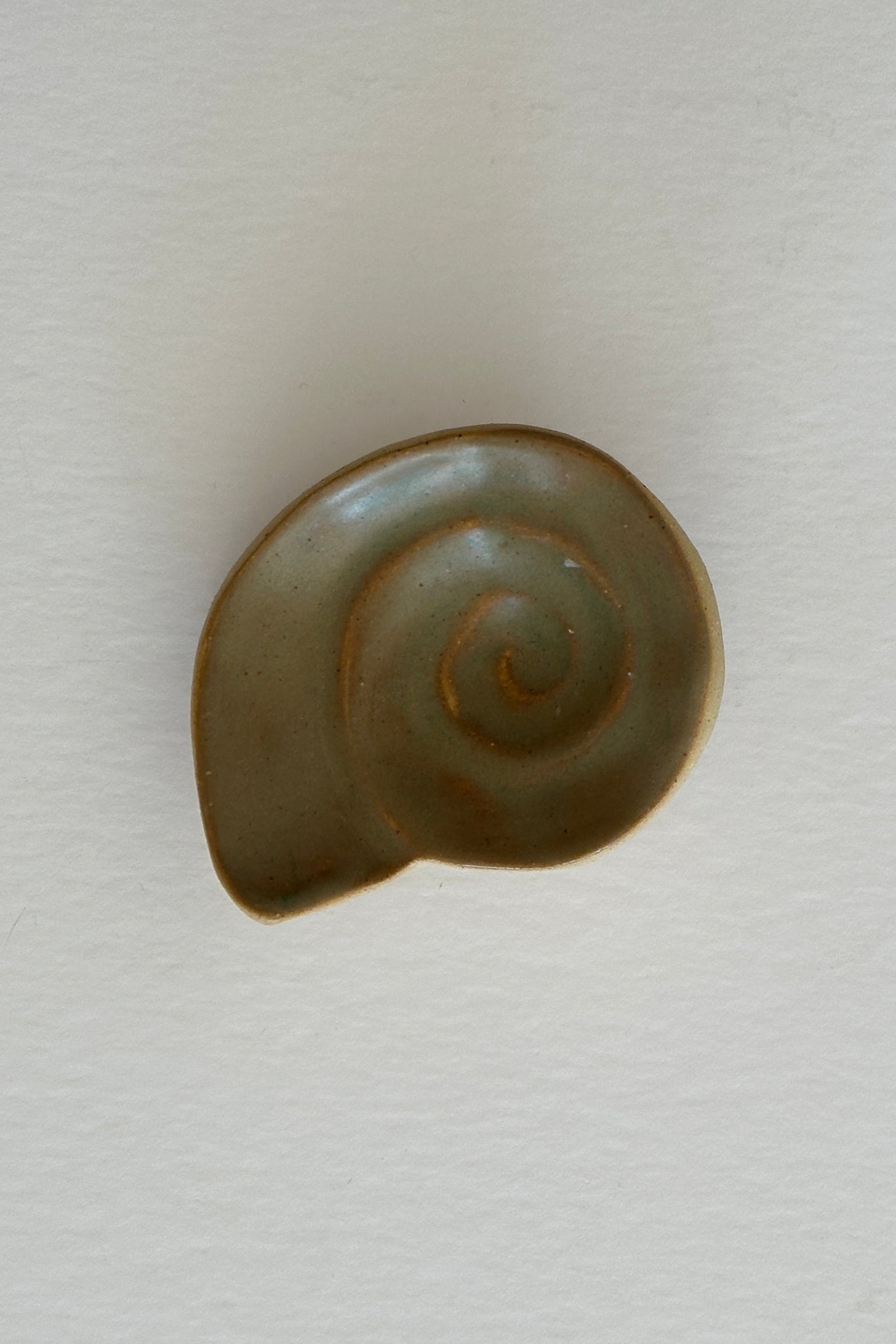 Shell Dish – Curio