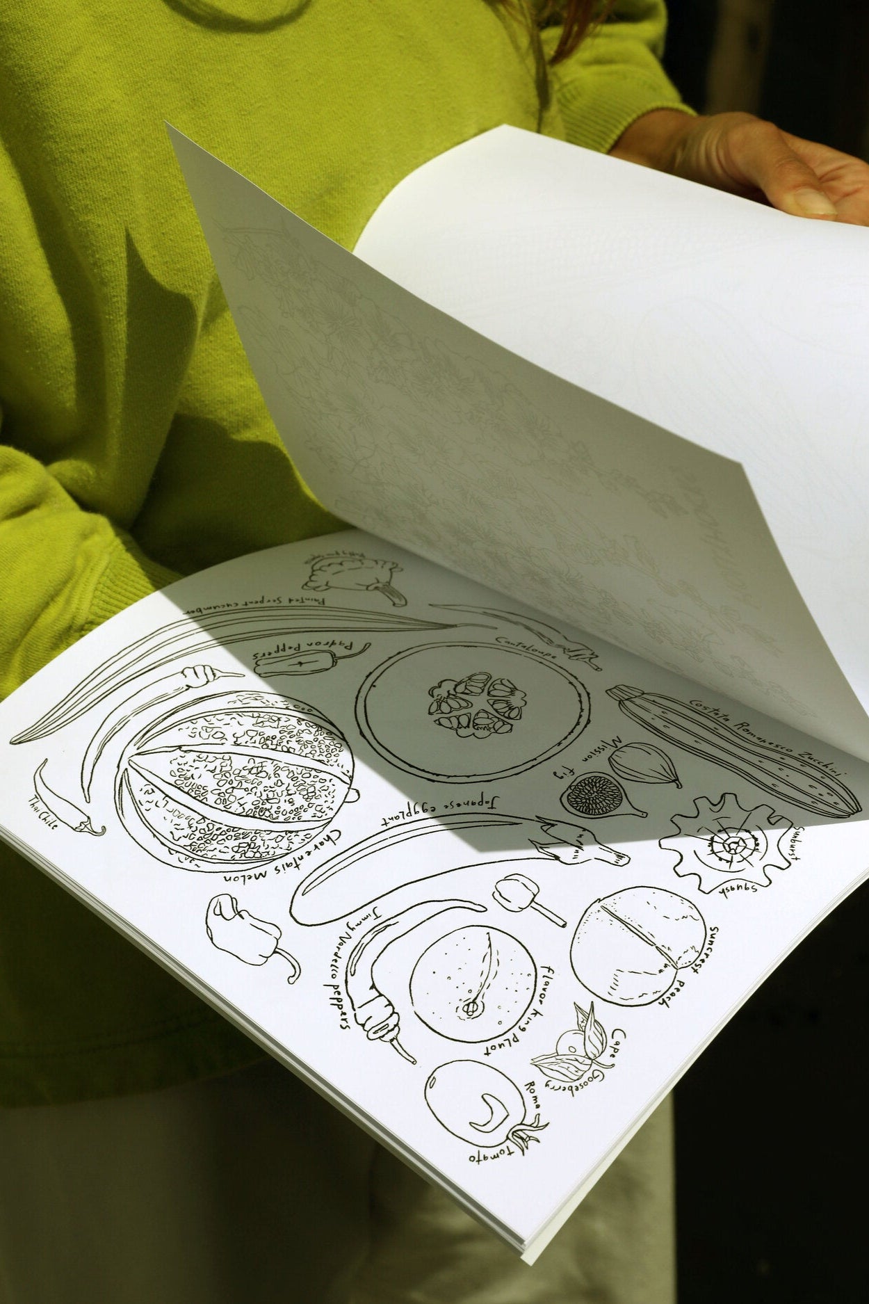 A Garden for All Seasons Coloring Book