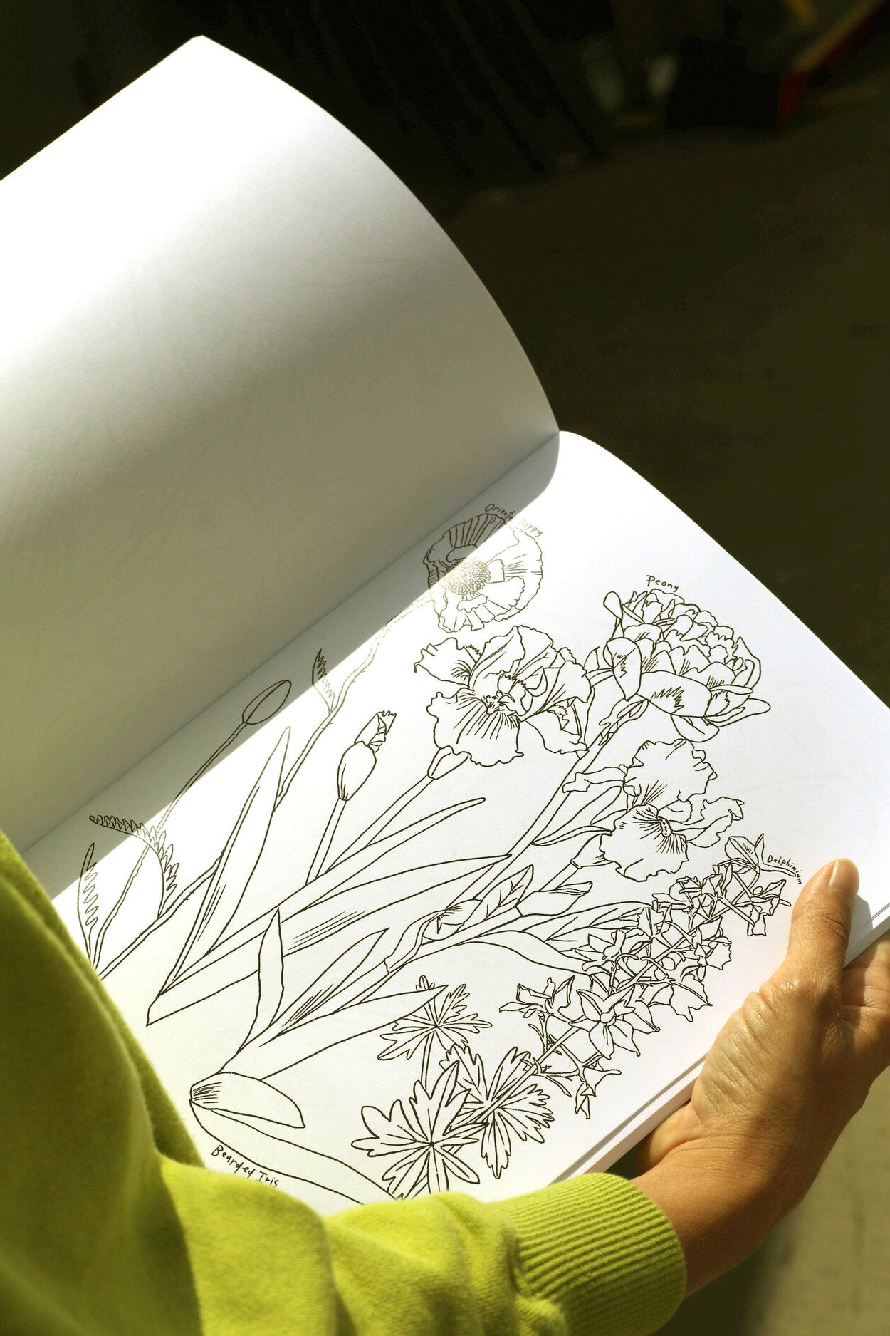 A Garden for All Seasons Coloring Book