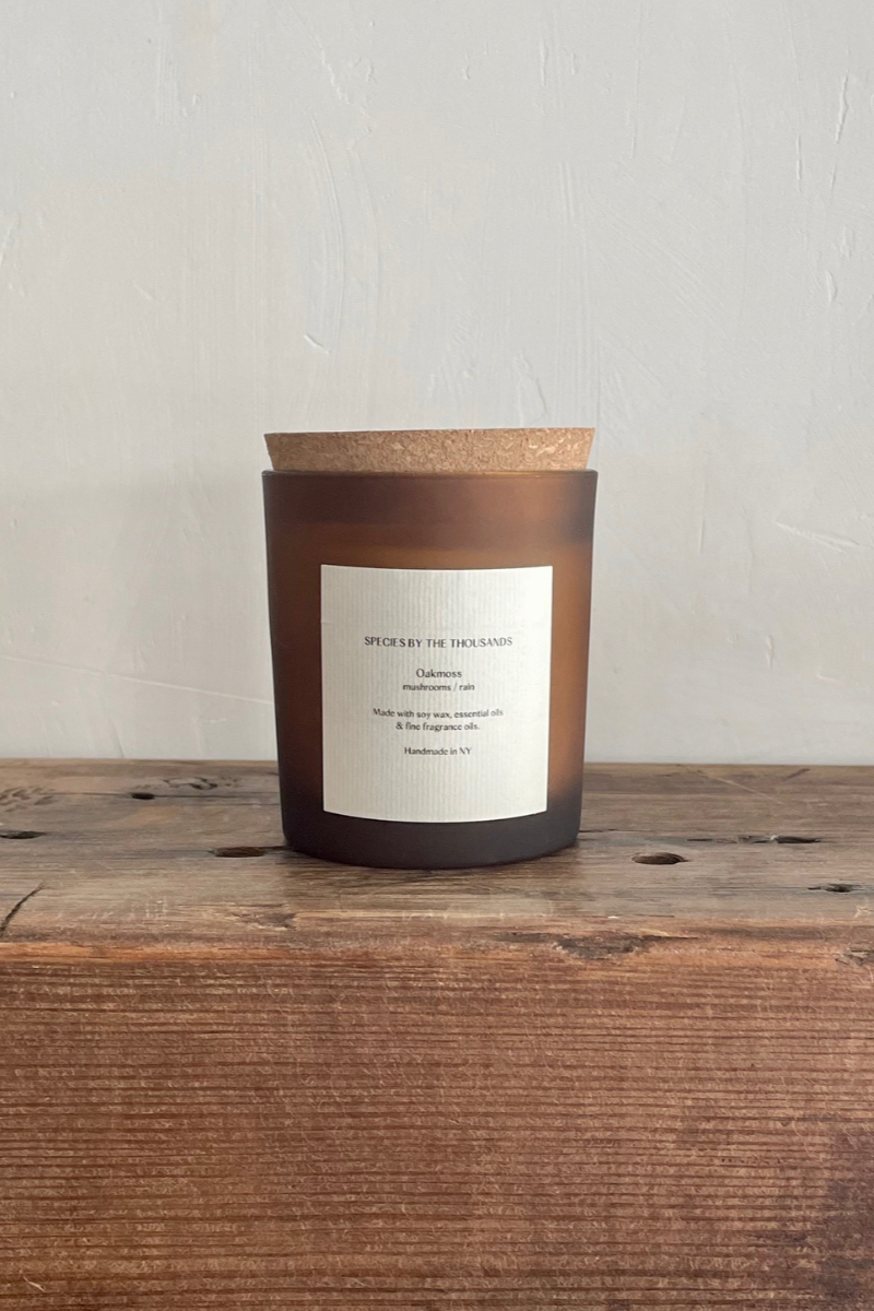 Oakmoss, Mushrooms + Rain Handcrafted Scented Soy Candle