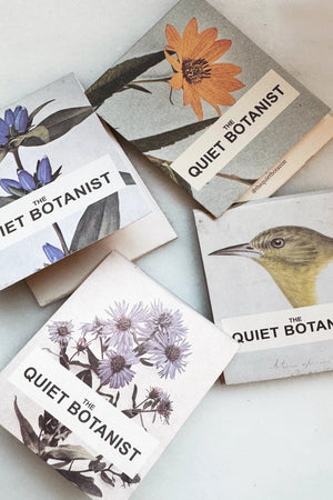 Golden Finch Botanical Matches