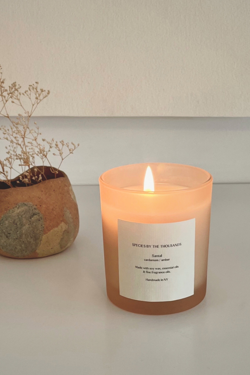 Santal, Cardamom + Amber Soy Candle